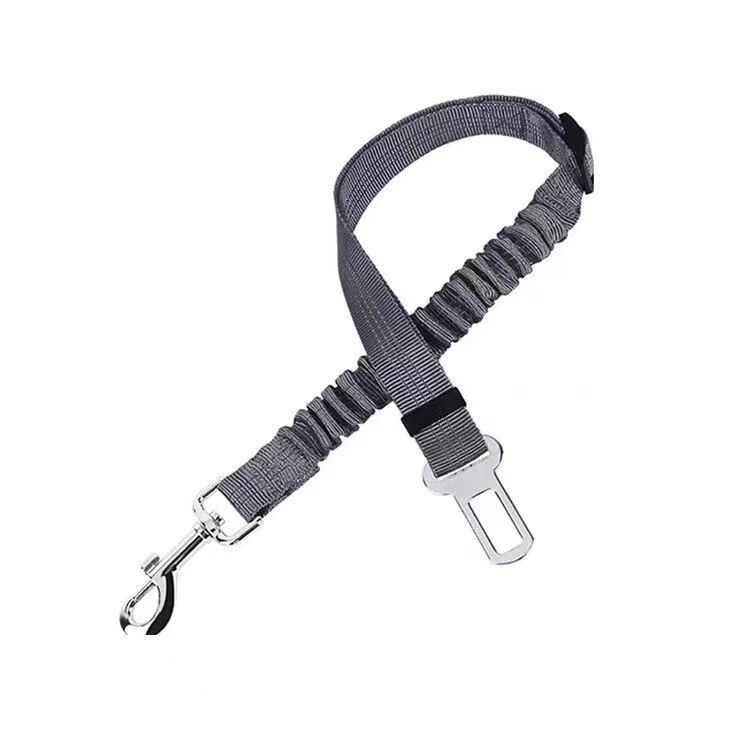 Car Safety Belt — view 2