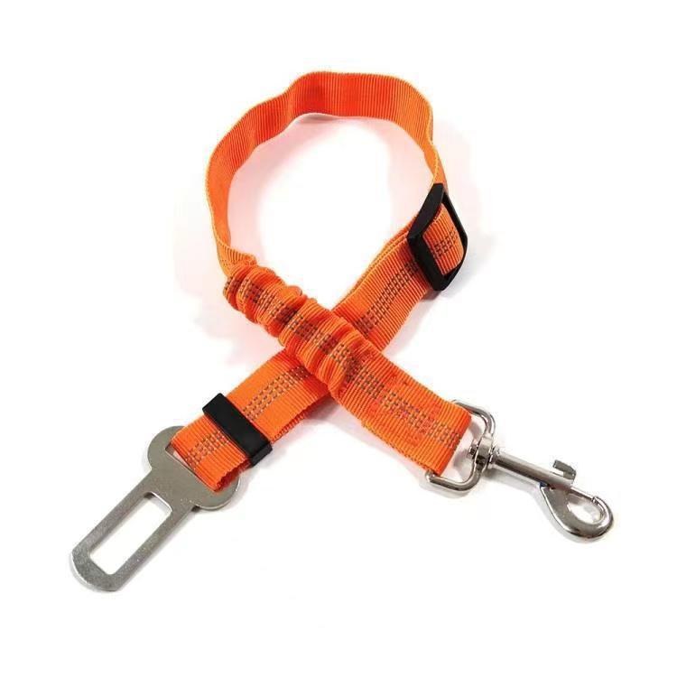 Car Safety Belt