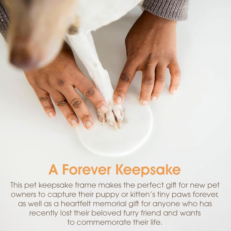 Paw Print Clay Kit — view 3