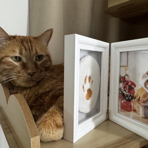 Paw Print Frame Kit — view 3